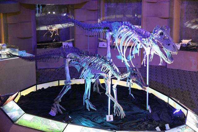 Central Museum of Dinosaurs of Mongolia